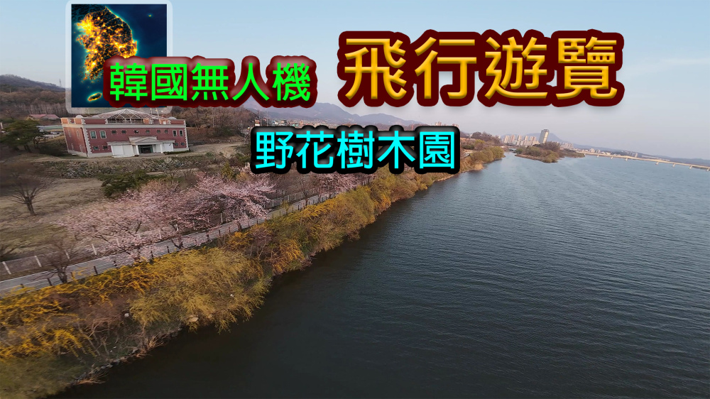 switch游戏下载 韩国无人机飞行游览 野花树木园 封面图片