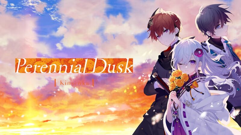 将花束献与你 Kinsenka 封面图片